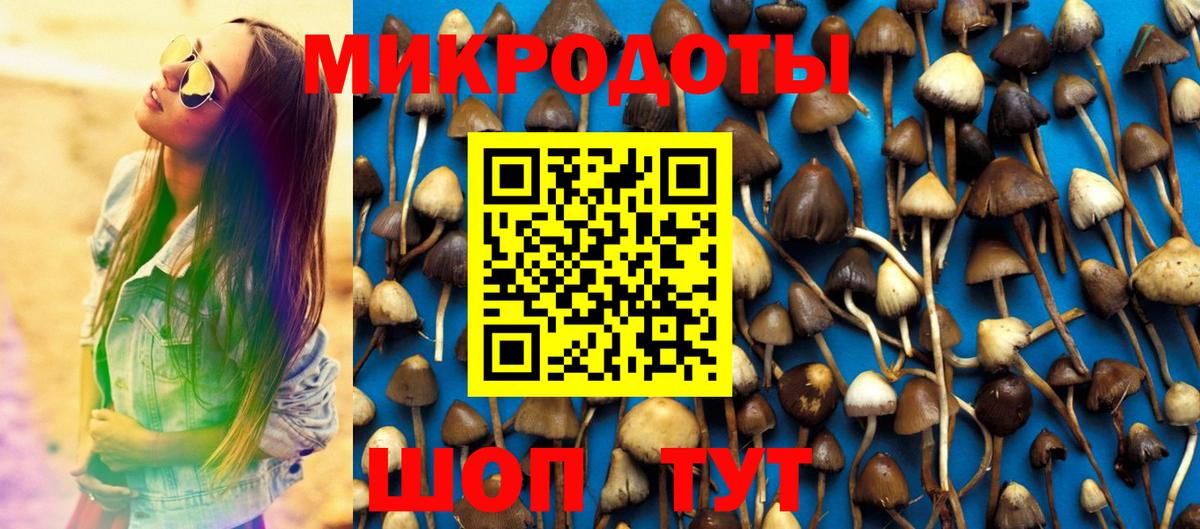 Псилоцибиновые грибы мухоморы Шали