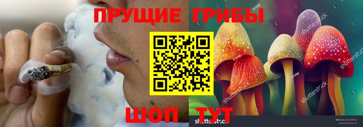 Шали  Псилоцибиновые грибы прущие грибы  Вход с VPN 