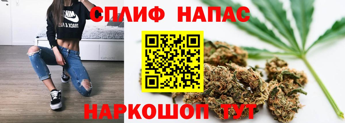 Каннабис индика Шали
